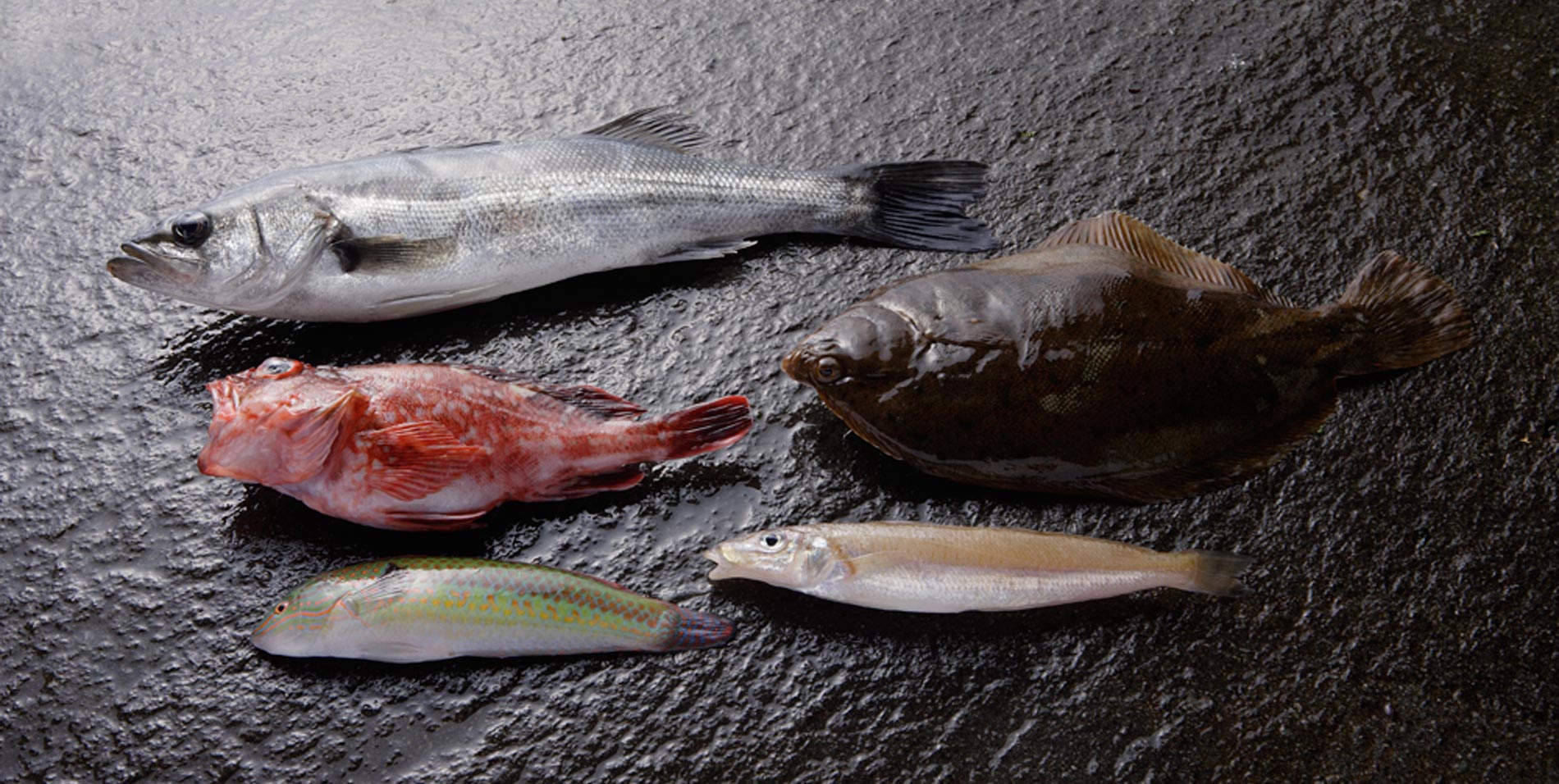 ホテルアナガ 釣り