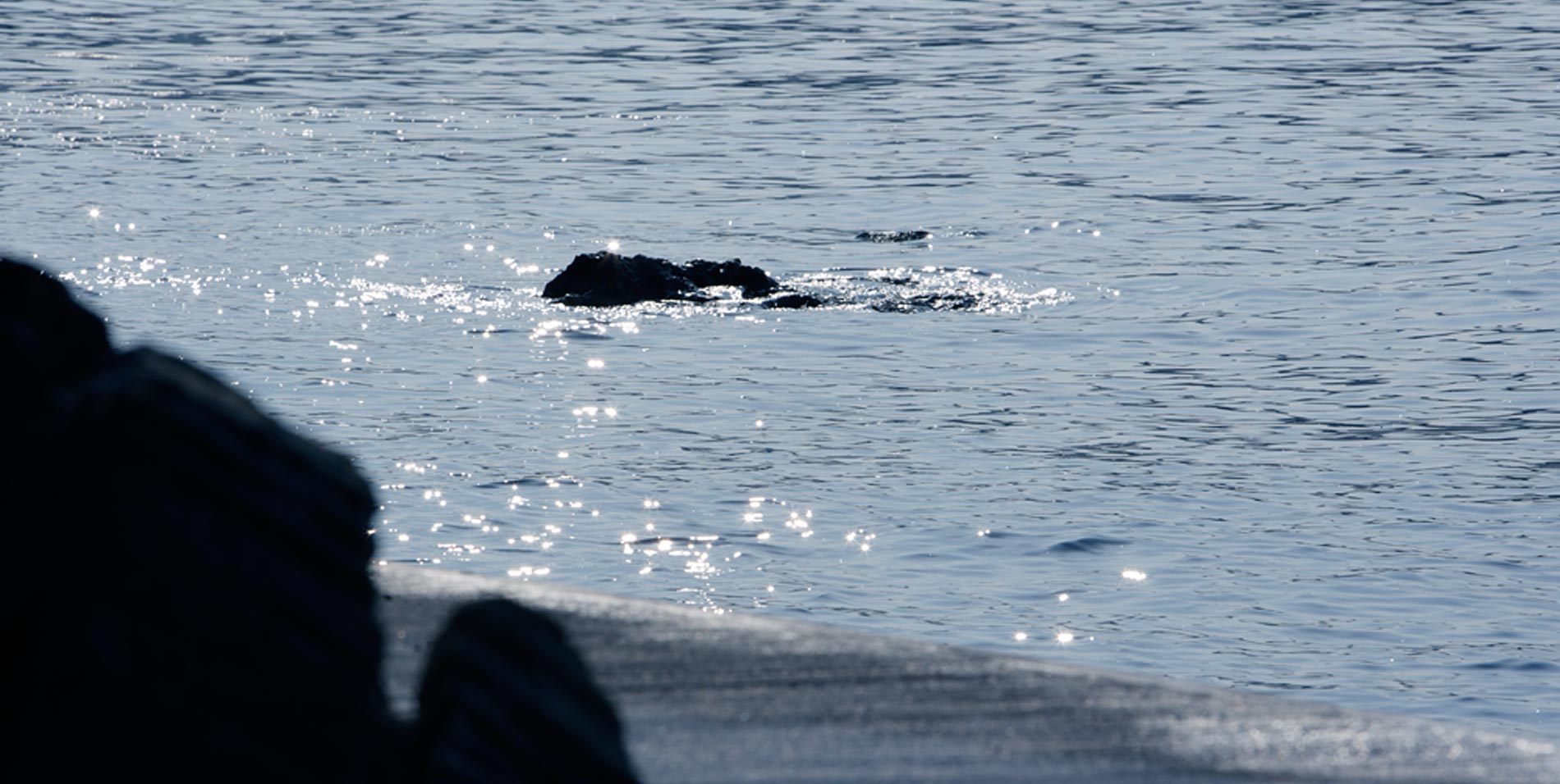 ホテルアナガ 海の遊歩道