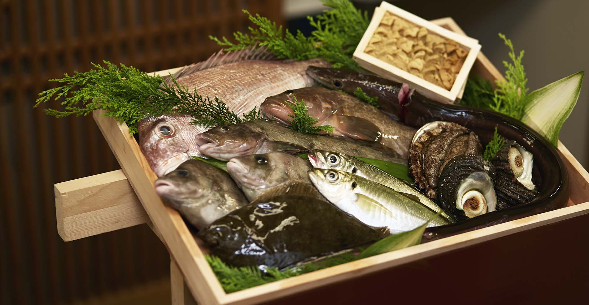 近海の鮮魚
